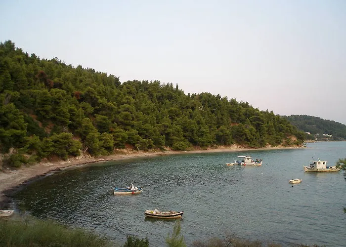 Aristotelis *